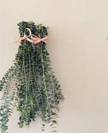 Eucalyptus Shower Bundle