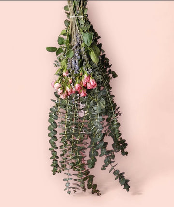 Eucalyptus & Rose Shower Bundle